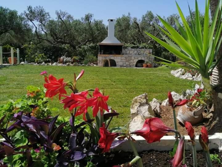 Villa Sotiris Kissamos Ngoại thất bức ảnh